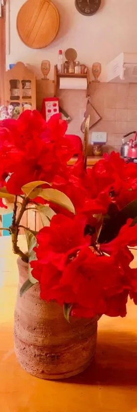 Cabaña de Montaña，位于圣卡洛斯-德巴里洛切的酒店