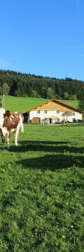 La ferme du bonheur，位于Pierrefontaine-les-Varans的酒店