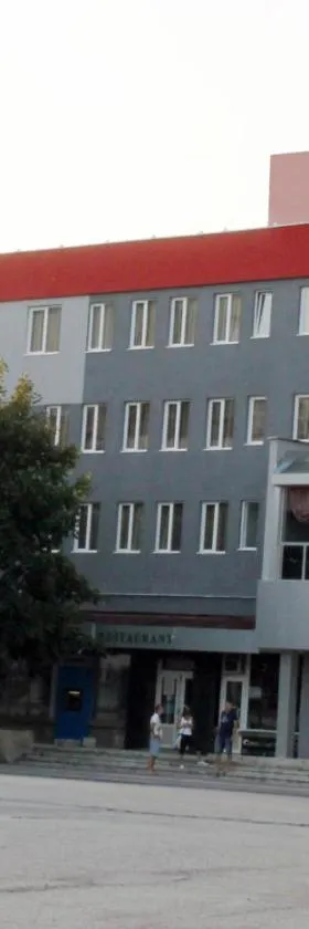 Hotel Mizia，位于特尔戈维什特的酒店
