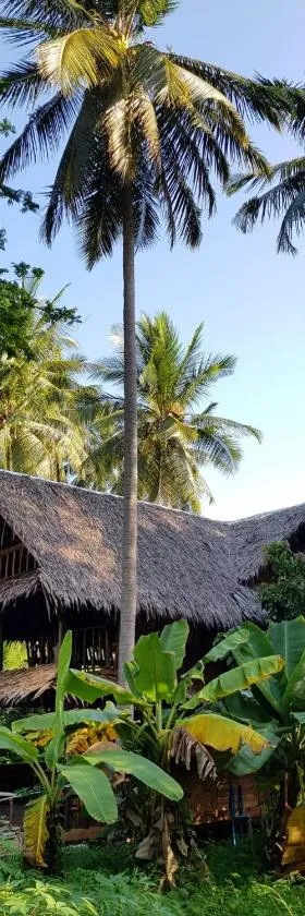 Antonio's Ko Yao Noi，位于阁遥岛的酒店