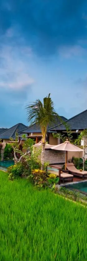Bliss Ubud Spa Resort，位于乌布的酒店