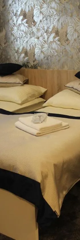 Apartments 461，位于莫德日采的酒店