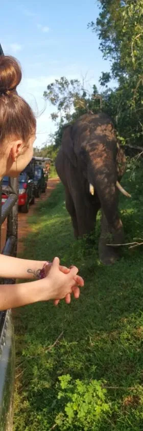 Lavender Home Yala Safari，位于蒂瑟默哈拉默的酒店