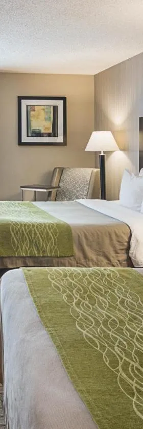 Comfort Inn Camden，位于Camden的酒店