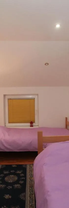 Apartman Carpe Diem 2，位于扎耶查尔的酒店