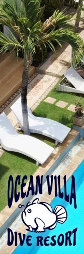 Ocean Villa Dive Resort - Tulamben，位于图兰奔的酒店