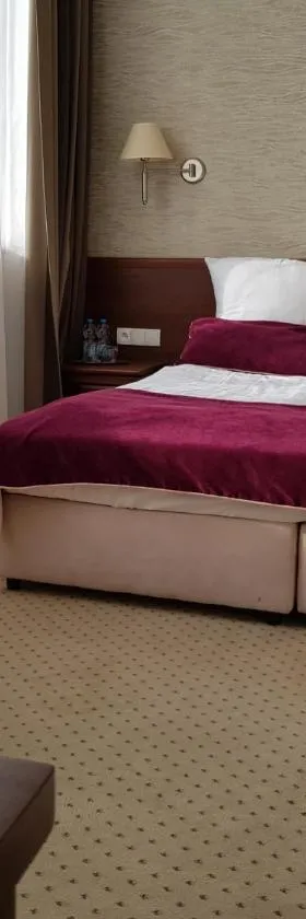 Hotel Starzyński，位于普沃茨克的酒店
