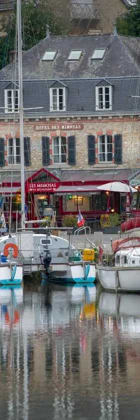 Hotel de charme Les Mimosas，位于阿旺桥的酒店