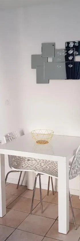 Jolie appartement moderne à Roanne，位于罗阿纳的酒店