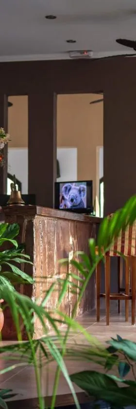 Hotel del Ingenio，位于Libertador General San Martín的酒店