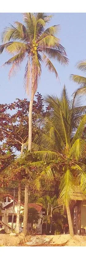TAWAN RESORT，位于春蓬的酒店