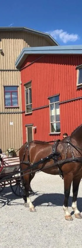 Flyingehus Gårdshotell，位于Flyinge的酒店