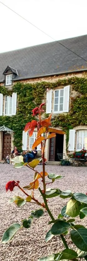 Le Vert Buisson，位于Cartigny-lʼÉpinay的酒店