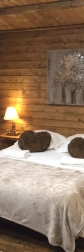 Gîtes les Chalets Vezzani Spa，位于Vezzani的酒店