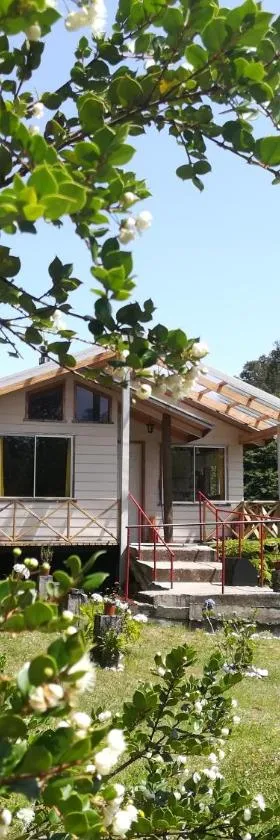 Cabañas Aliwen Panguipulli，位于潘吉普伊的酒店