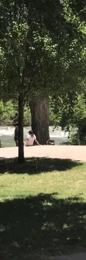 Kern Riverview Inn，位于克恩维尔的酒店