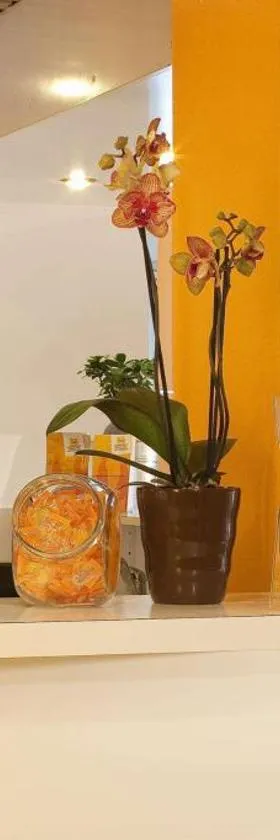 FAST HOTEL Les Ulis - Courtabœuf，位于雷于利斯的酒店