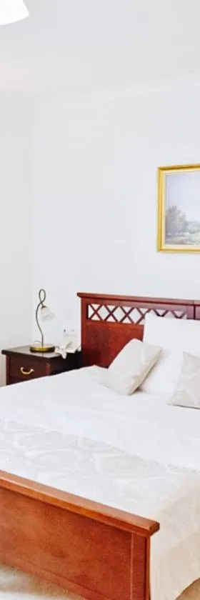 Hotel Koloseum，位于图雷克的酒店