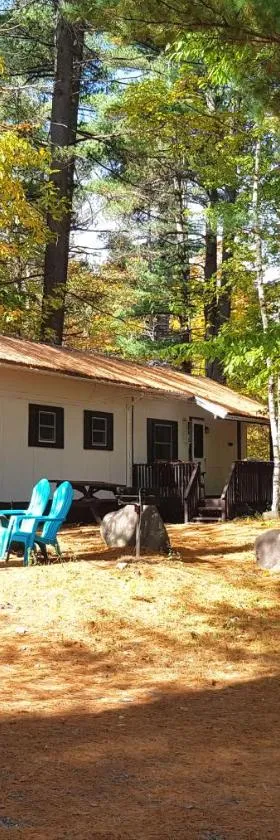 The Aspen Cabin，位于威尔明顿的酒店