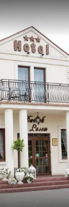Dworek za Lasem，位于Warta的酒店