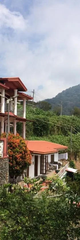 薄雾度假别墅酒店，位于哈普特莱的酒店