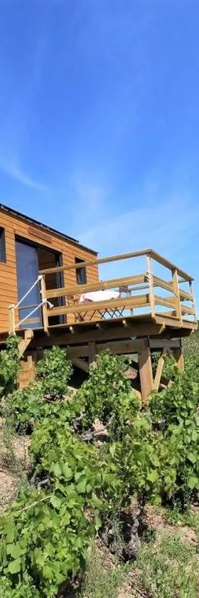 Tiny house au cœur du vignoble beaujolais，位于弗勒里的酒店