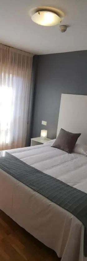 Hotel El Trasgu，位于坎加斯-德奥尼斯的酒店