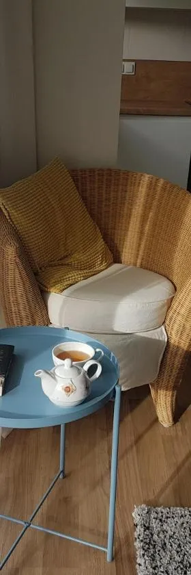 Apartament Jasińskiego z ogrodem，位于皮瑟兹诺的酒店