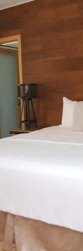 Kaleo Hotel Boutique，位于圣萨尔瓦多的酒店