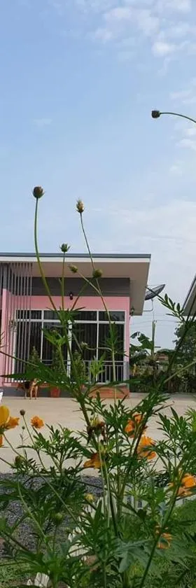 บ้านสวนนิสา，位于梭桃邑的酒店