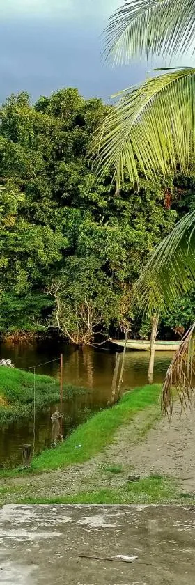 Mulu Diana Homestay，位于姆鲁的酒店