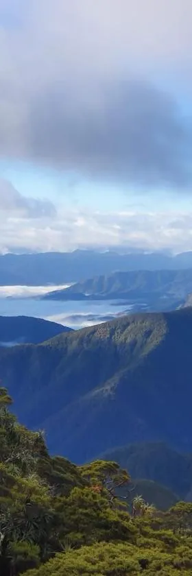 Off The Beaten Trail Acc & Bike Tours，位于默奇森的酒店