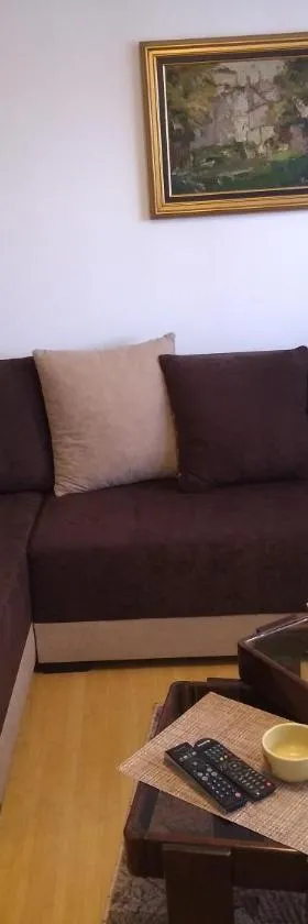 Apartment Vojinovic，位于阿然德洛维克的酒店