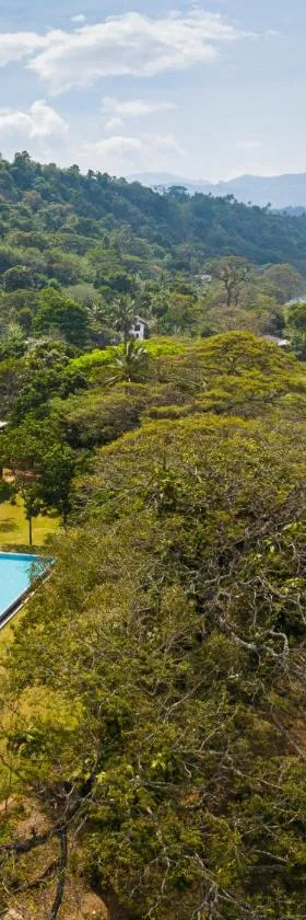 Jetwing Kandy Gallery, A Luxury Reserve，位于康提的酒店