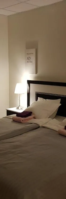 Hotell Skinnargården，位于马隆的酒店