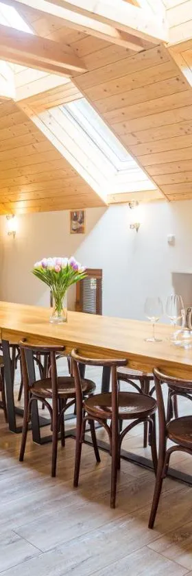Vinný apartmán Rakovník，位于拉科夫尼克的酒店