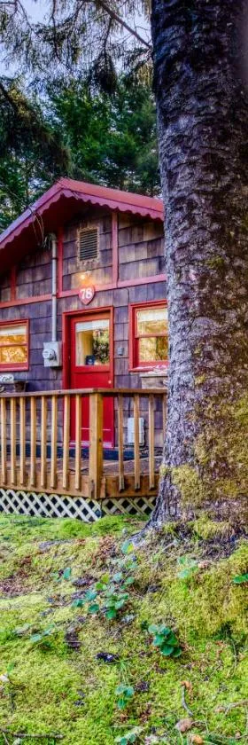 Woodland Cottage by the Sea，位于亚查茨的酒店