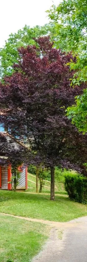 Camping Le Hameau du Petit Lay，位于Mouchamps的酒店