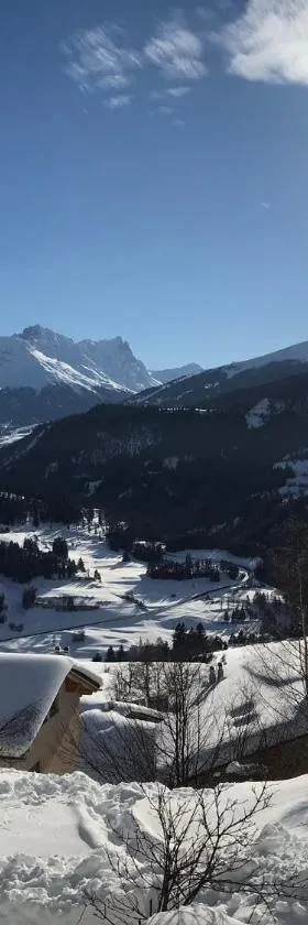 Mountain Suite，位于Brienz-Brinzauls的酒店