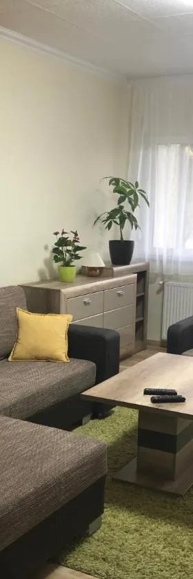 Galéria deluxe apartman，位于迈泽克韦什德的酒店