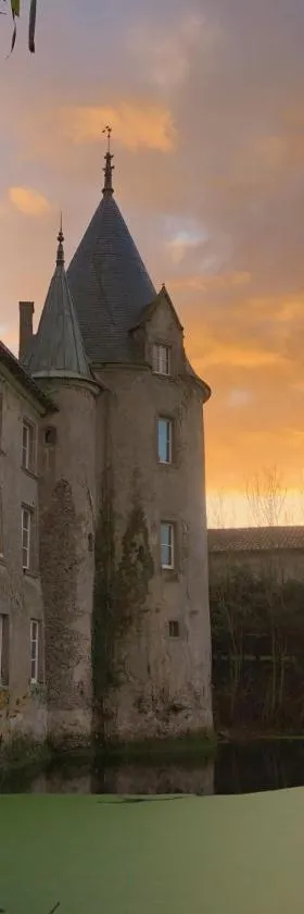 Château de la Preuille Bed & Breakfast，位于Montaigu-Vendée的酒店