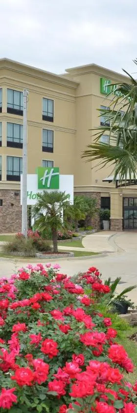 蒙哥马利南机场假日酒店，位于Hope Hull的酒店