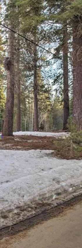 Mountain Tops Ponderosa Getaway Near Dome Rock!，位于Ponderosa的酒店