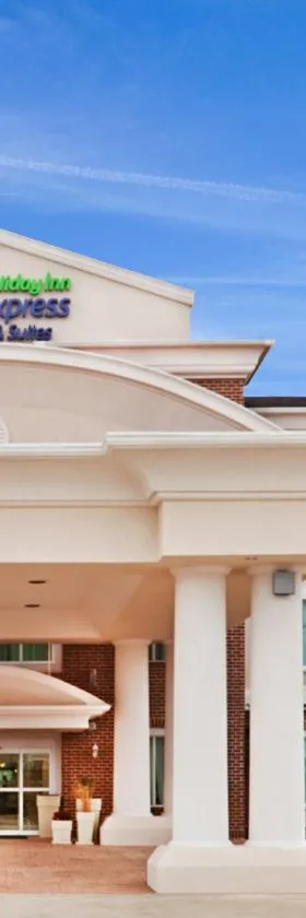 Holiday Inn Express & Suites Waxahachie by IHG，位于沃克西哈奇的酒店