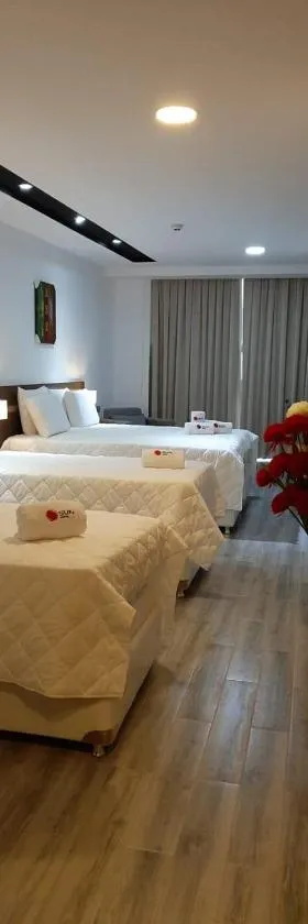 Hotel Sun，位于恩卡纳西翁的酒店