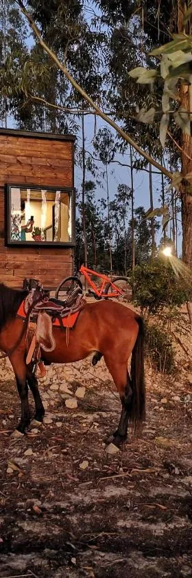 El Bosque de Paipa，位于派帕的酒店