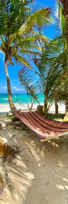 Little Corn Island Beach and Bungalow，位于小玉米岛的酒店