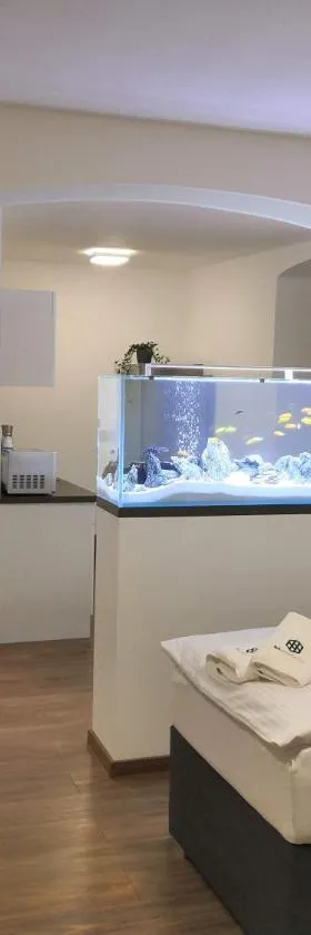 SLO. Apartments，位于Bakov nad Jizerou的酒店