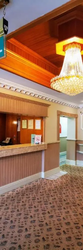 城堡酒店，位于梅瑟蒂德菲尔的酒店