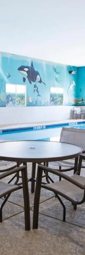 Candlewood Suites - Grand Prairie - Arlington by IHG，位于大草原城的酒店